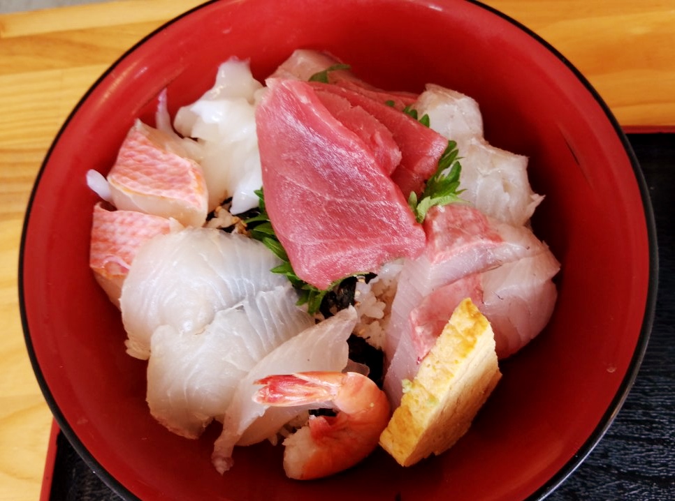 三崎港でマグロを食べる・犬連れプチ旅